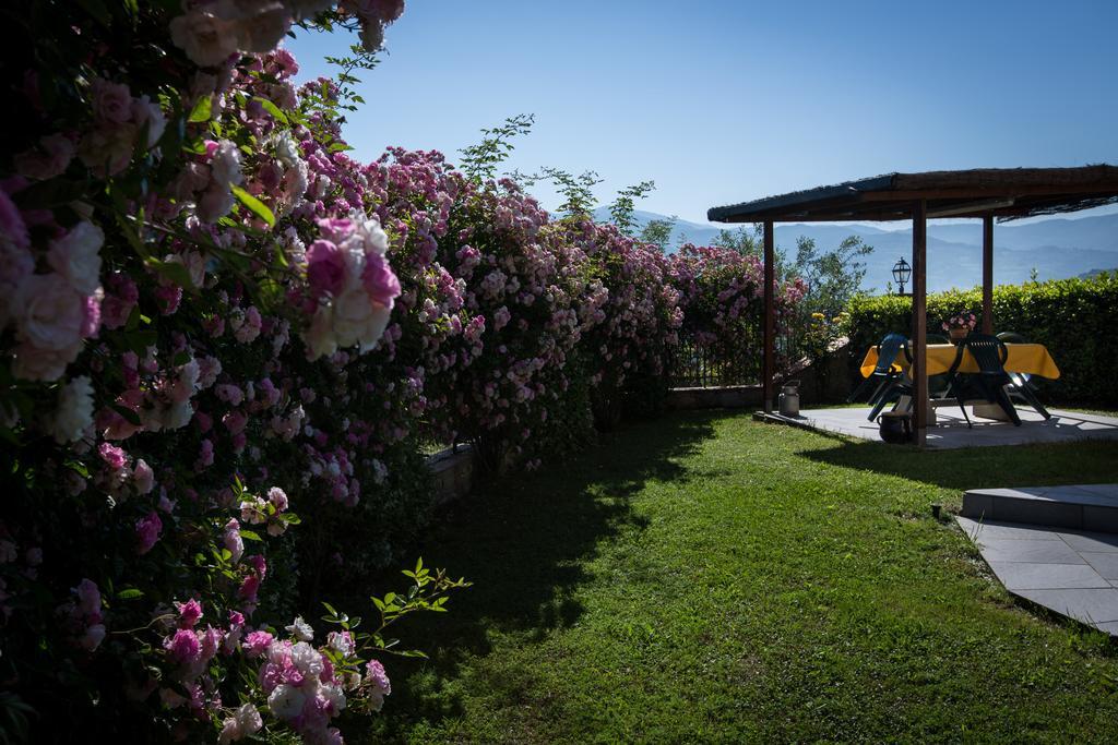 Agriturismo Vita Nova Vicchio Quarto foto